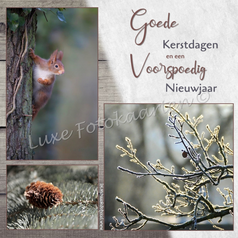 Goede Kerst - Eekhoorn 3 luik